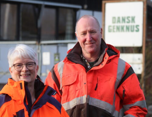 Genknus & Kabell i Odense bliver del af Damifo – koncernen