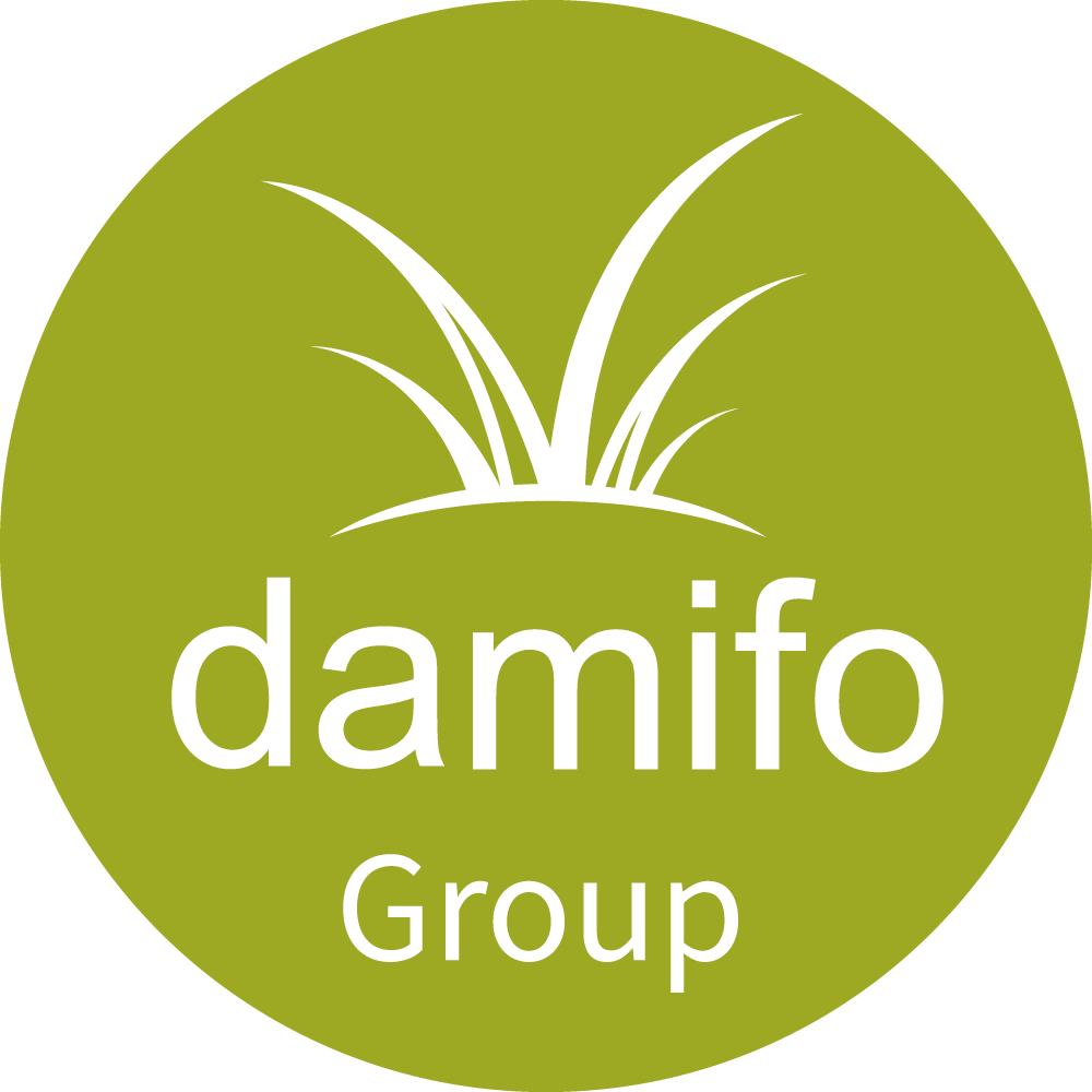 Damifo Logo